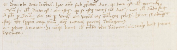 Workshop: Researching Medieval Latin Glosses: Opportunities and Challenges (11. – 13.9.2024)